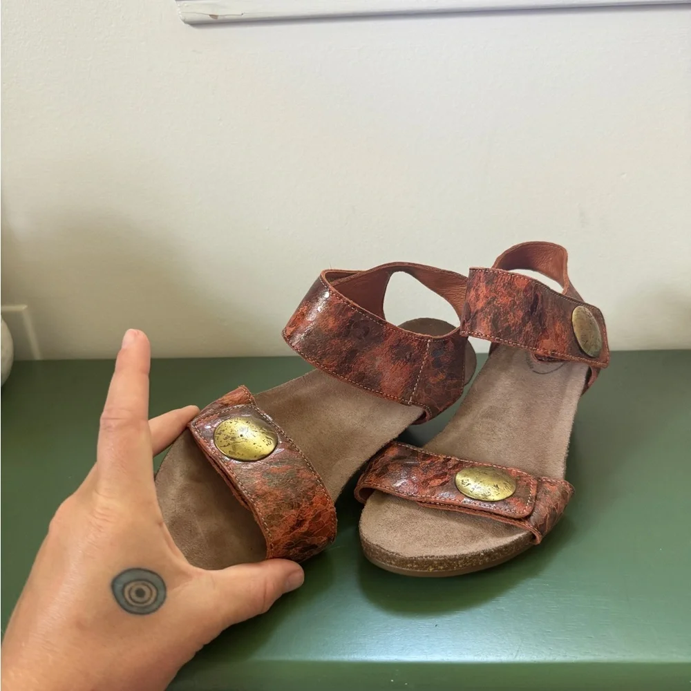 NWOB Taos Carousel 2 Leather wedge sandals with gold coin accents, size 7-7.5 - Picture 3 of 7